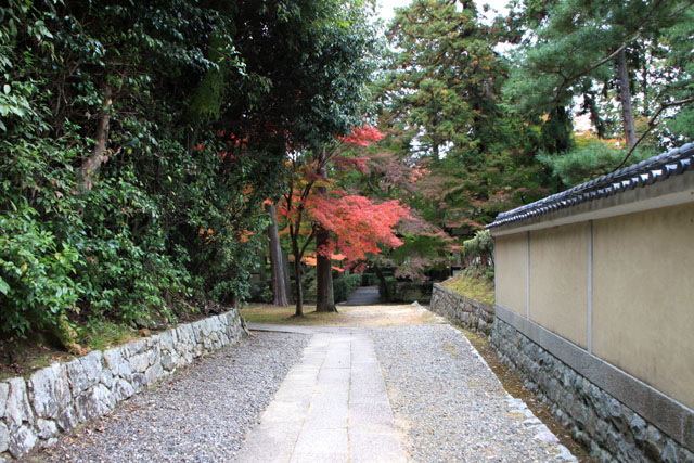 真如堂 紅葉の盛り_e0048413_07379.jpg