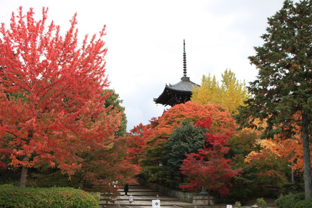 真如堂 紅葉の盛り_e0048413_083524.jpg
