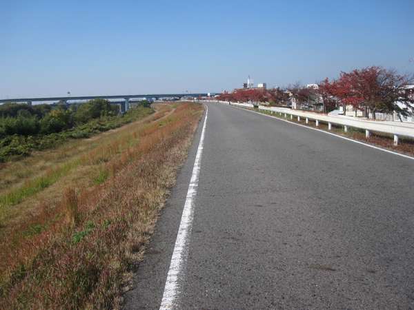 c0225420_1746035.jpg