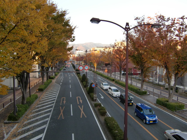 c0220724_2054267.jpg