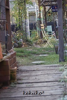 f0170524_1622812.jpg