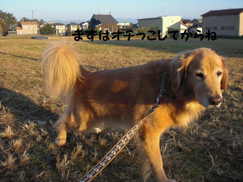 f0114128_17451254.jpg