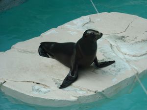 動物園♪_c0171631_17162837.jpg