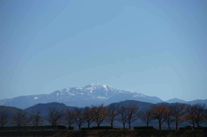 b0177233_5321826.jpg