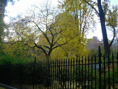 落ち葉の舞うGramercy Park_f0200433_53425.jpg