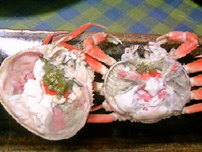 f0112434_1441291.jpg