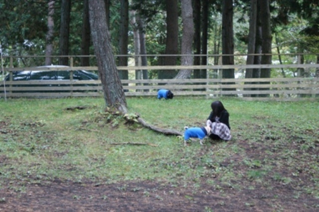 保母だより３５３　　山中湖「ロッジ花月園」でその１_d0160237_112935.jpg