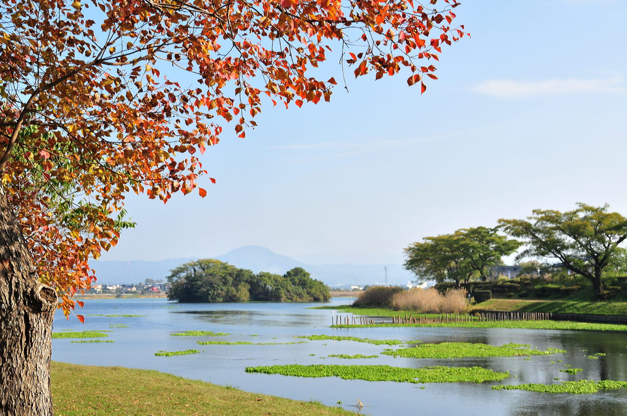 江津湖公園へ。_e0056537_1656824.jpg