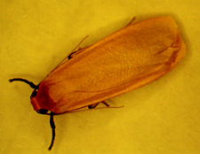 c0180341_23291384.jpg
