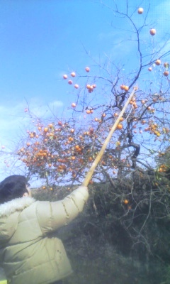 c0217246_8101319.jpg