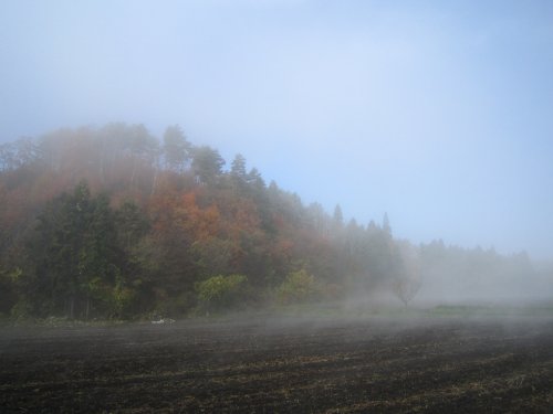 f0048546_7494775.jpg