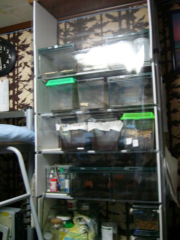 f0096947_21211537.jpg