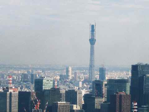 【ザ・リッツ・カールトン東京４５階新装なった「タワーズグリル」でランチ♪】_b0009849_14561462.jpg