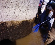 今川 2010.11.21「小さな命」救出作戦_f0197754_23103911.jpg