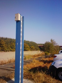 今川 2010.11.21「小さな命」救出作戦_f0197754_23115274.jpg