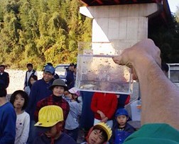 今川 2010.11.21「小さな命」救出作戦_f0197754_2333723.jpg