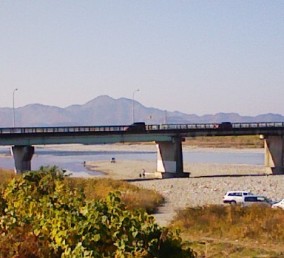 今川 2010.11.21「小さな命」救出作戦_f0197754_237070.jpg