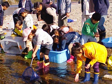 今川　2010.11.21「小さな命」救出作戦_f0197754_2395039.jpg