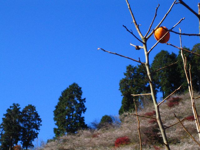 a0081957_1521363.jpg