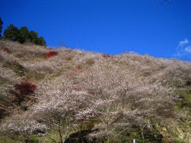 a0081957_153262.jpg