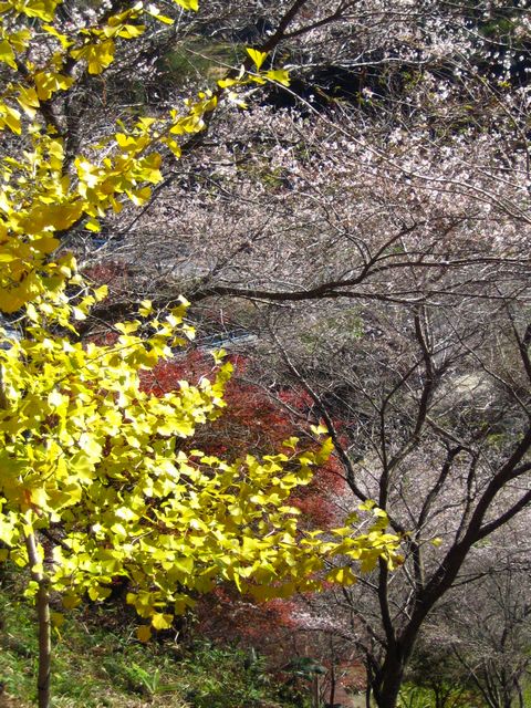 a0081957_153485.jpg