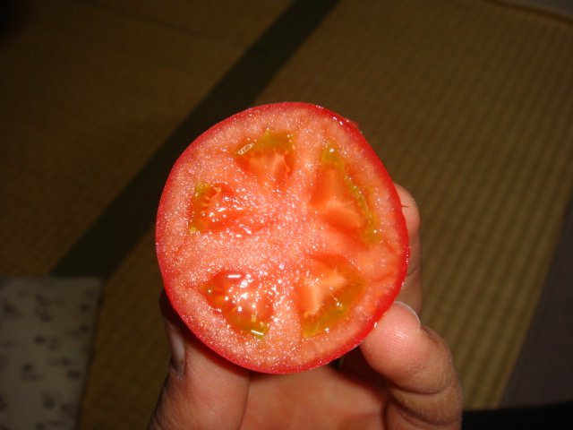 c0074157_17244534.jpg