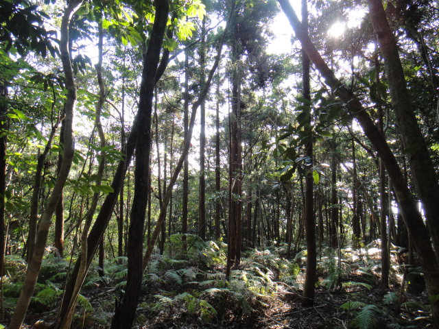 f0036857_20441422.jpg