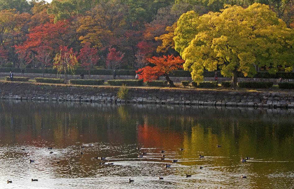 大阪城公園の秋_b0063958_18402053.jpg