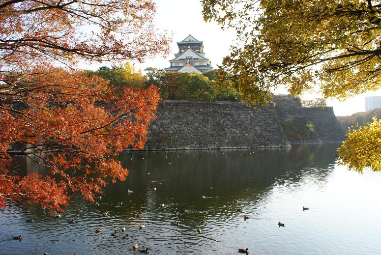 大阪城公園の秋_b0063958_18403955.jpg