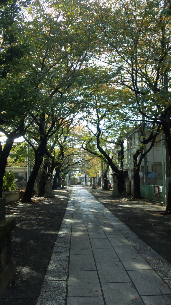 c0119259_2335516.jpg
