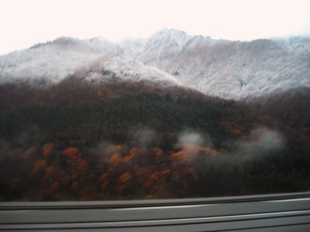 d0116059_21435983.jpg
