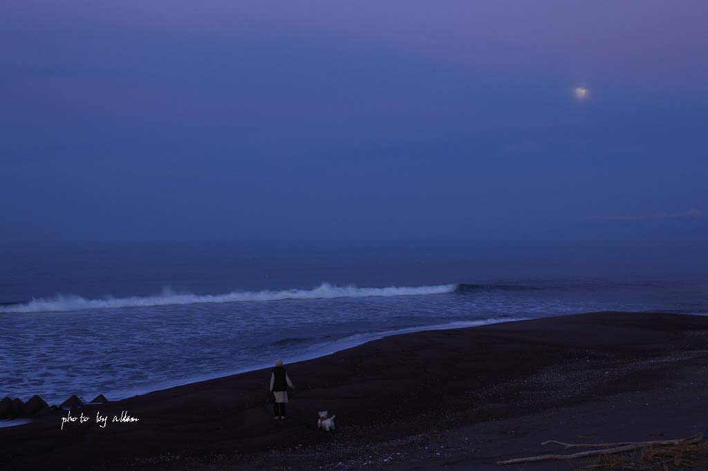 オホーツク海と満月より～_a0039860_19553578.jpg
