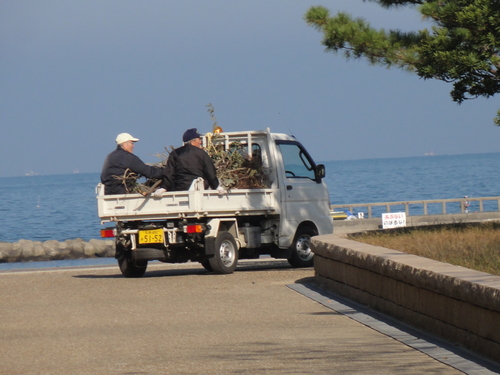 定例活動日:チップ搬入_c0108460_17451444.jpg