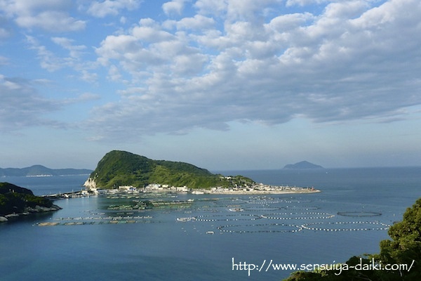 2010.11.20. Sat. 柏島_e0158261_171109.jpg