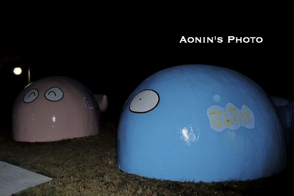 2010.11.20. Sat. 柏島_e0158261_1714812.jpg
