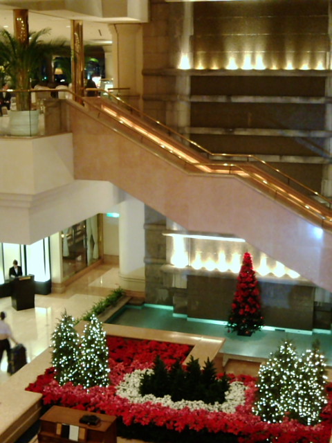 d0032363_2331251.jpg