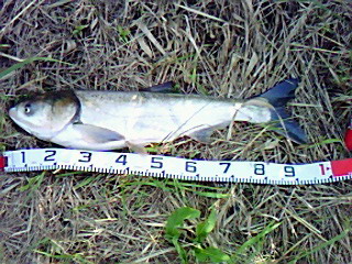 d0200064_0544067.jpg