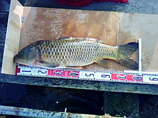 d0200064_1243465.jpg