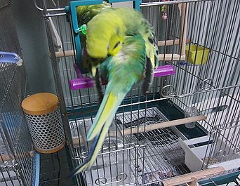 f0196665_00058.jpg
