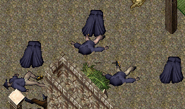 b0190672_14322427.gif