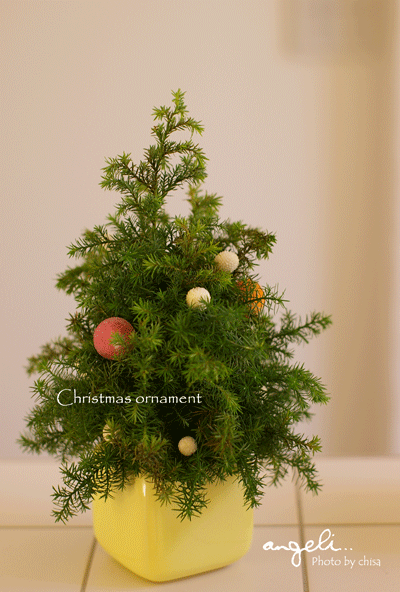 f0227975_1513864.gif
