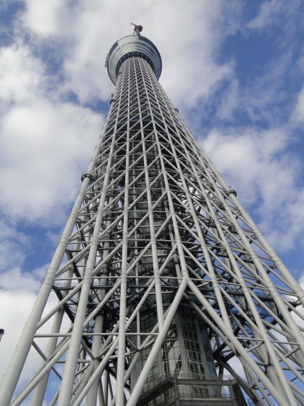 東京スカイツリー追っかけ3２,０００歩の散策　　１０１１１９～２０_c0183777_12242139.jpg