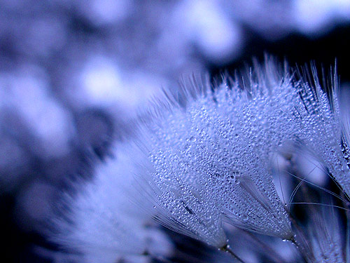 a0013879_23424527.jpg