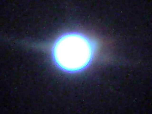 強い味方。_d0182179_1994360.jpg