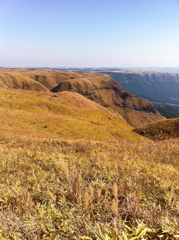 a0076180_20592379.jpg