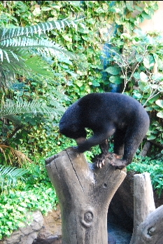 NOICHI　ZOO＊_f0018985_0292374.jpg