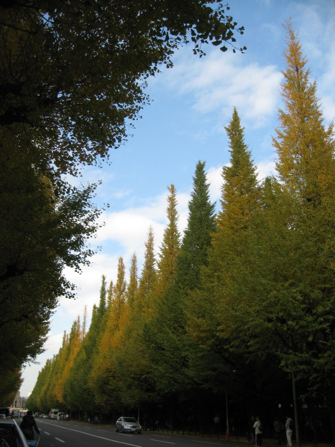 f0231887_1848310.jpg