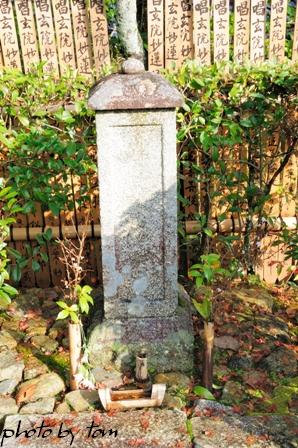 京を歩く～洛北\"秋の常照寺\"吉野といえば・・・・・_b0155692_1152162.jpg