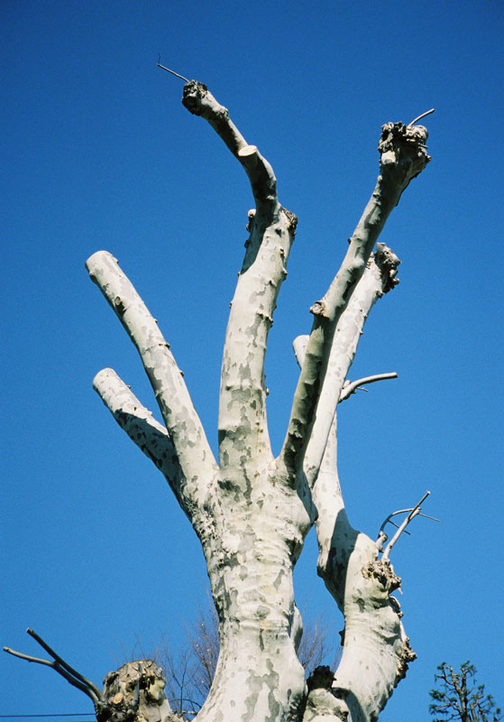 e0216492_2202961.jpg