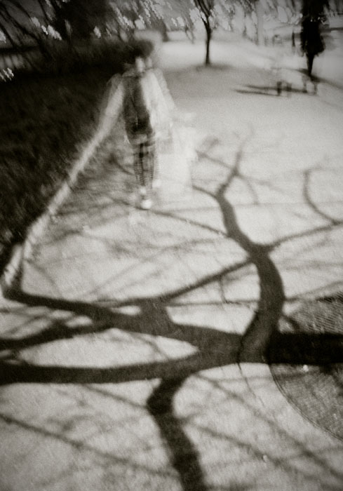 e0216492_4493065.jpg